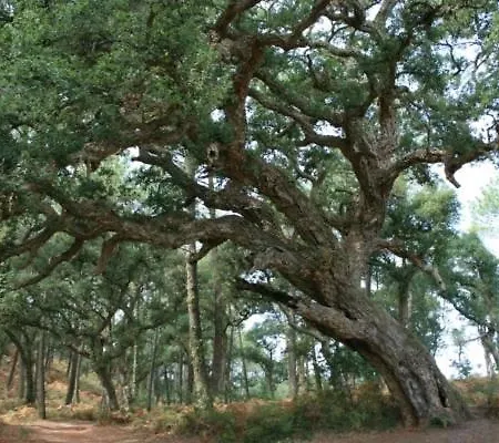 Entre Forêt Et Océan Casa de Férias